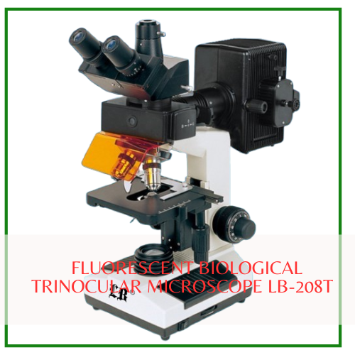 Kính hiển vi huỳnh quang LB-208T