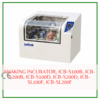 Máy ấm lắc